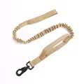 Khaki Leash