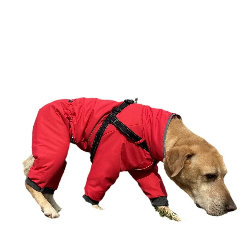 Abrigo invierno perro impermeable cortavientos Labrador Border Collie