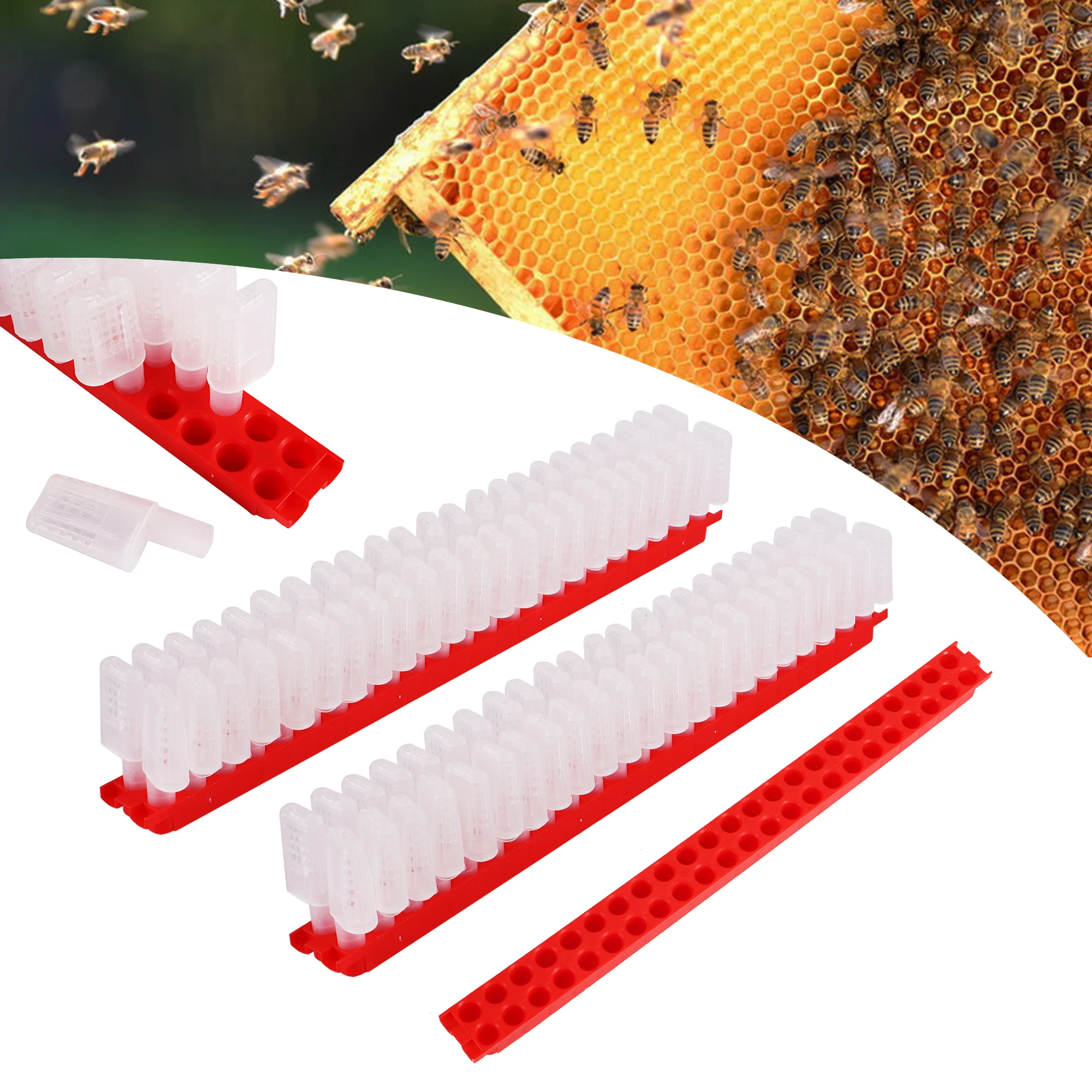 Caja de jaula de abejas para apicultura, aislador móvil de transporte, barra de envío, jaula de prisionero de prisión