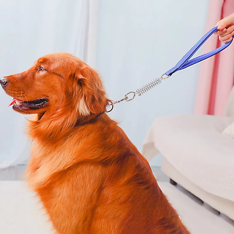 Correa corta de acero inoxidable para perros grandes, Correa cómoda de 45cm para caminar - imagen 2