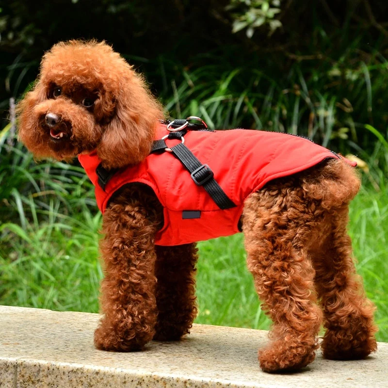 Ropa de invierno para perros y cachorros, chaleco, chaqueta, ropa para Chihuahua, ropa cálida para clima frío, abrigo para perros pequeños y grandes - imagen 5