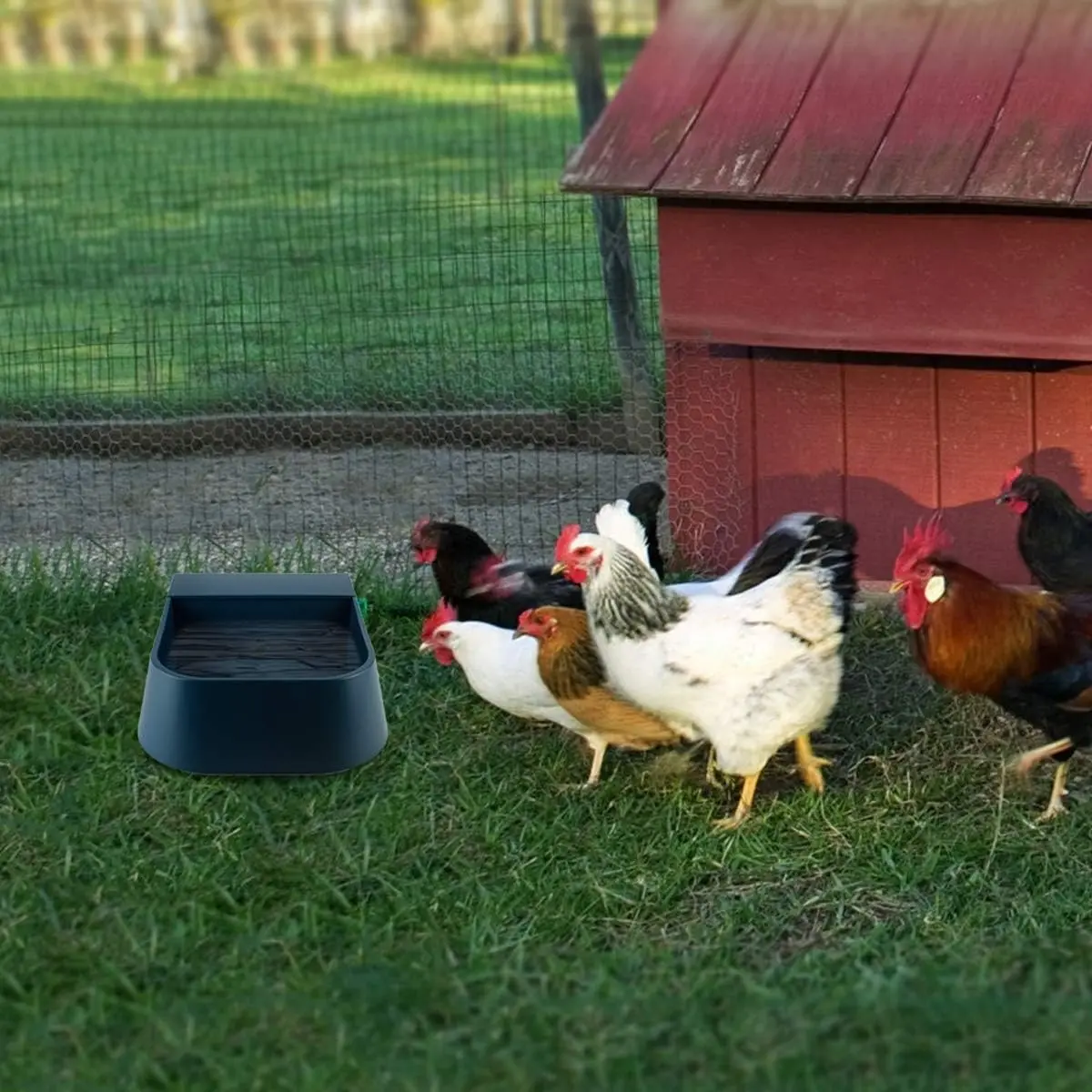 Cuenco de agua de llenado automático, dispensador automático de agua para perros de 2L, válvula de flotador de agua para ganado interior y exterior, alimentador de agua para gato y pollo - imagen 5