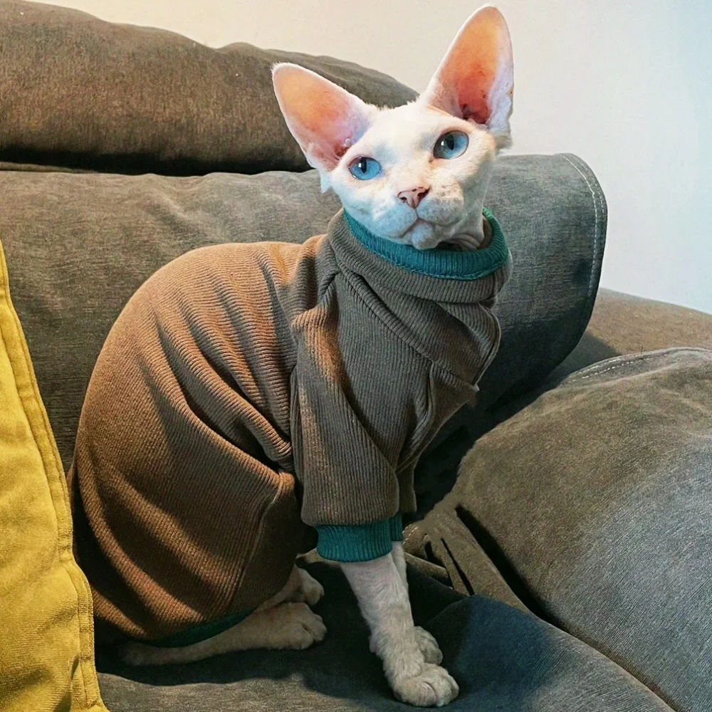 Sphynx Cat Camiseta de algodón para gatitos Perros pequeños Café Manga larga Abrigo de cuello alto para Devon Rex Mono de ocio en otoño