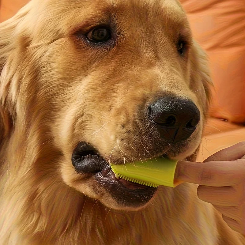 2 uds cepillo de dientes para dedos de mascotas con mango herramienta suave para el cuidado de los dientes de perro cepillo de dientes para limpieza de dientes de mascotas para gatos perros herramienta de limpieza de mascotas - imagen 4