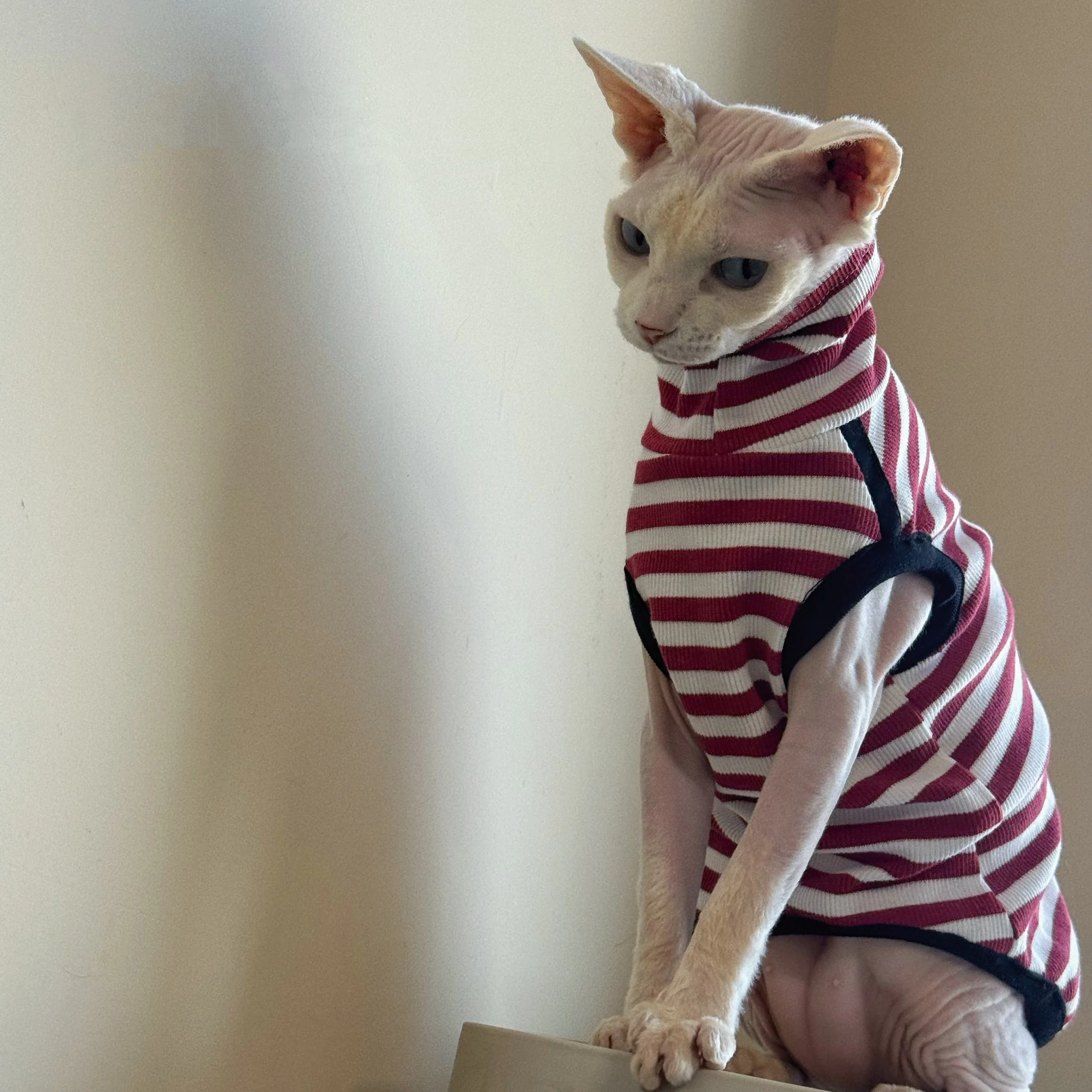 Camiseta cuello alto para gatos Sphynx y Devon Rex – Rojo y negro - imagen 3