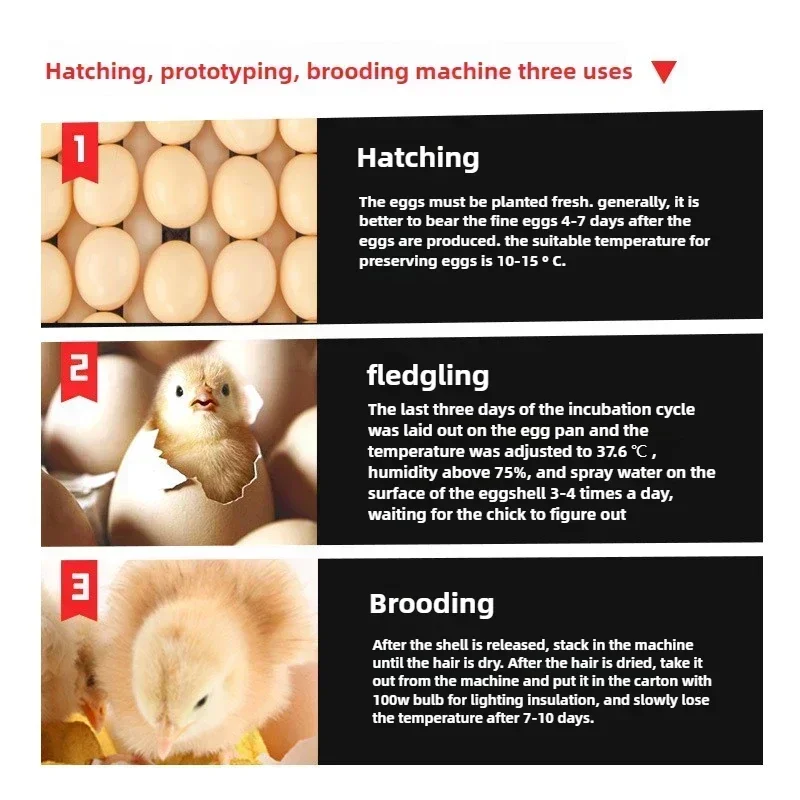 Incubadora de huevos de 204, Control automático de temperatura de giro, máquina para incubar huevos, incubadora de pollo, pato, ganso, suministros para animales de granja - imagen 2