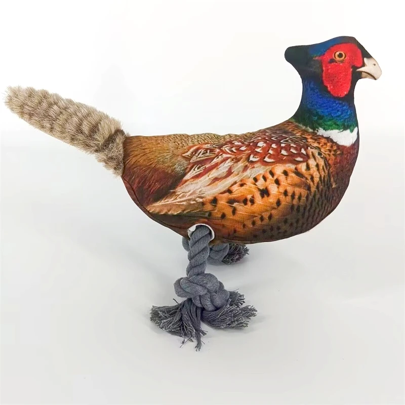 Ring-necked Pheasant