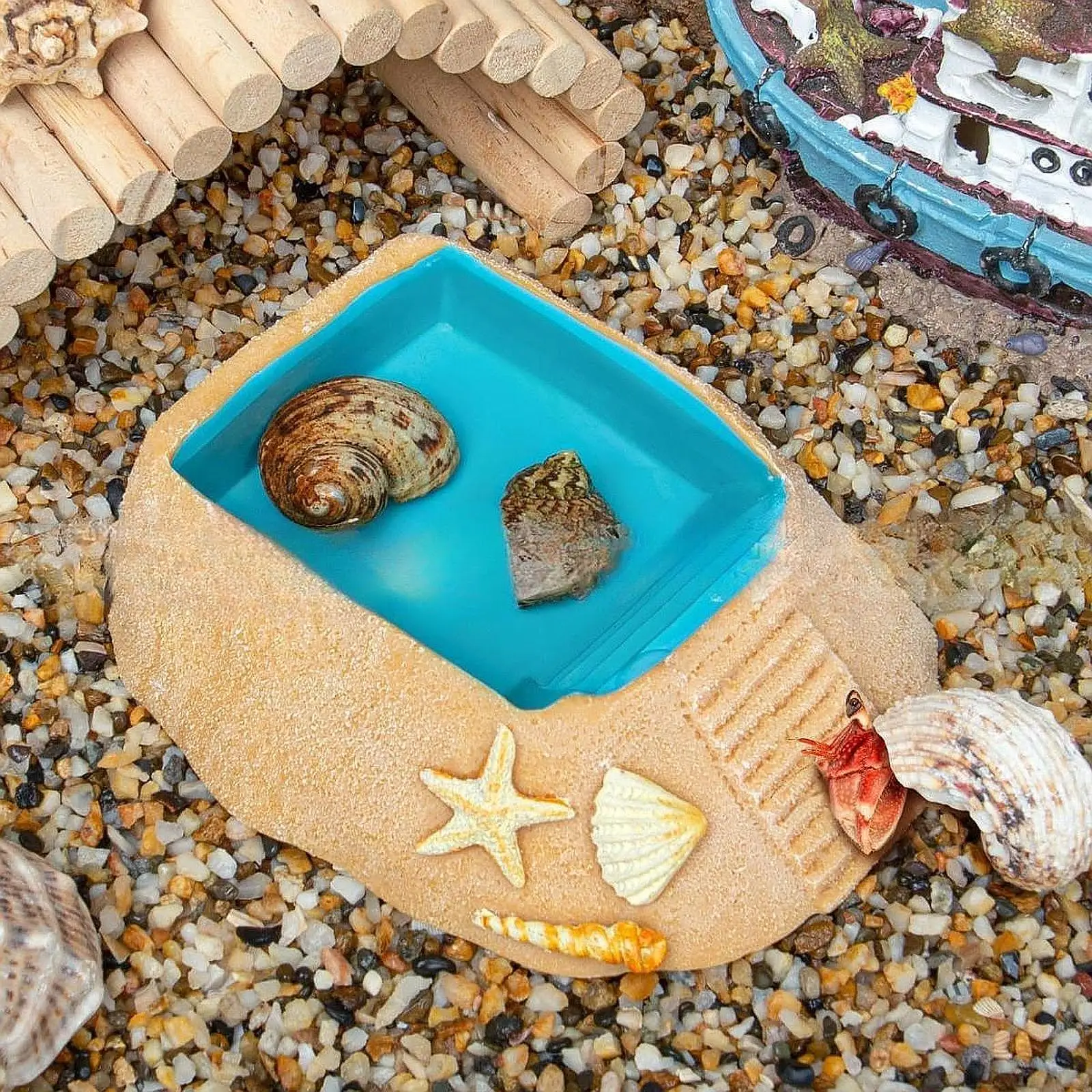 Cuenco de agua de cangrejo ermitaño, jaula para tanque de acuario, accesorio de resina, plato de comida de agua para cangrejo ermitaño - imagen 4