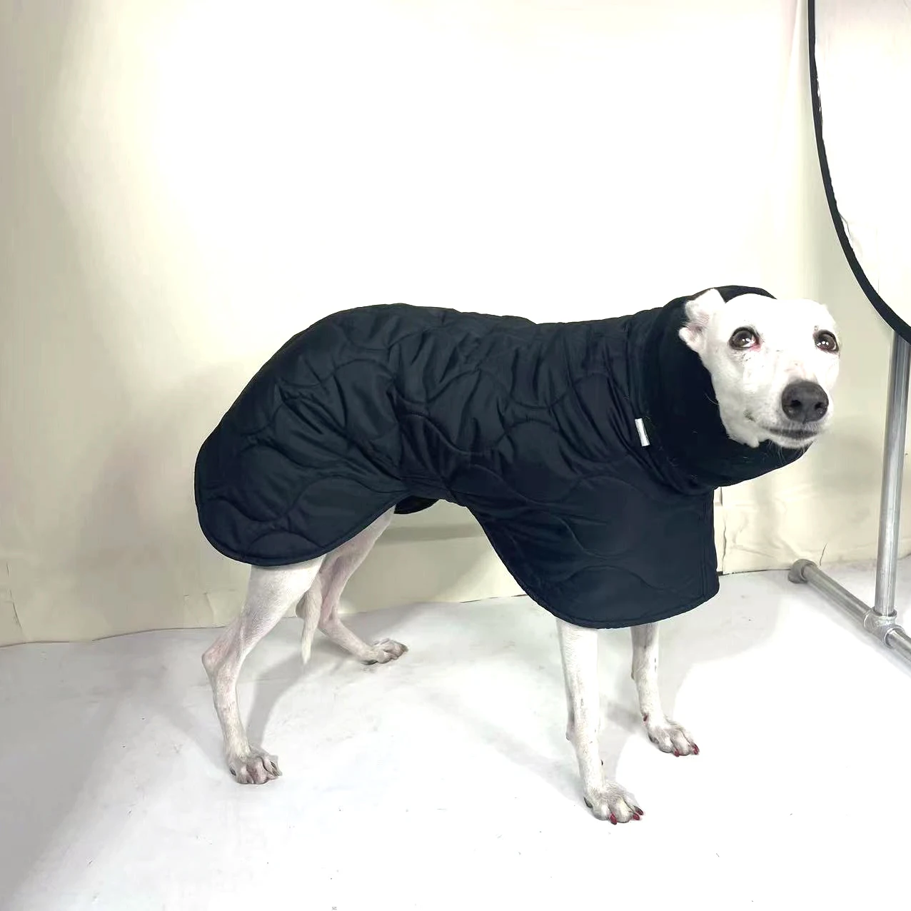 Abrigo de invierno para perro con cuello de tortuga acolchado negro exterior para perro cálido galgo italiano ajustable de algodón Whippet - imagen 2