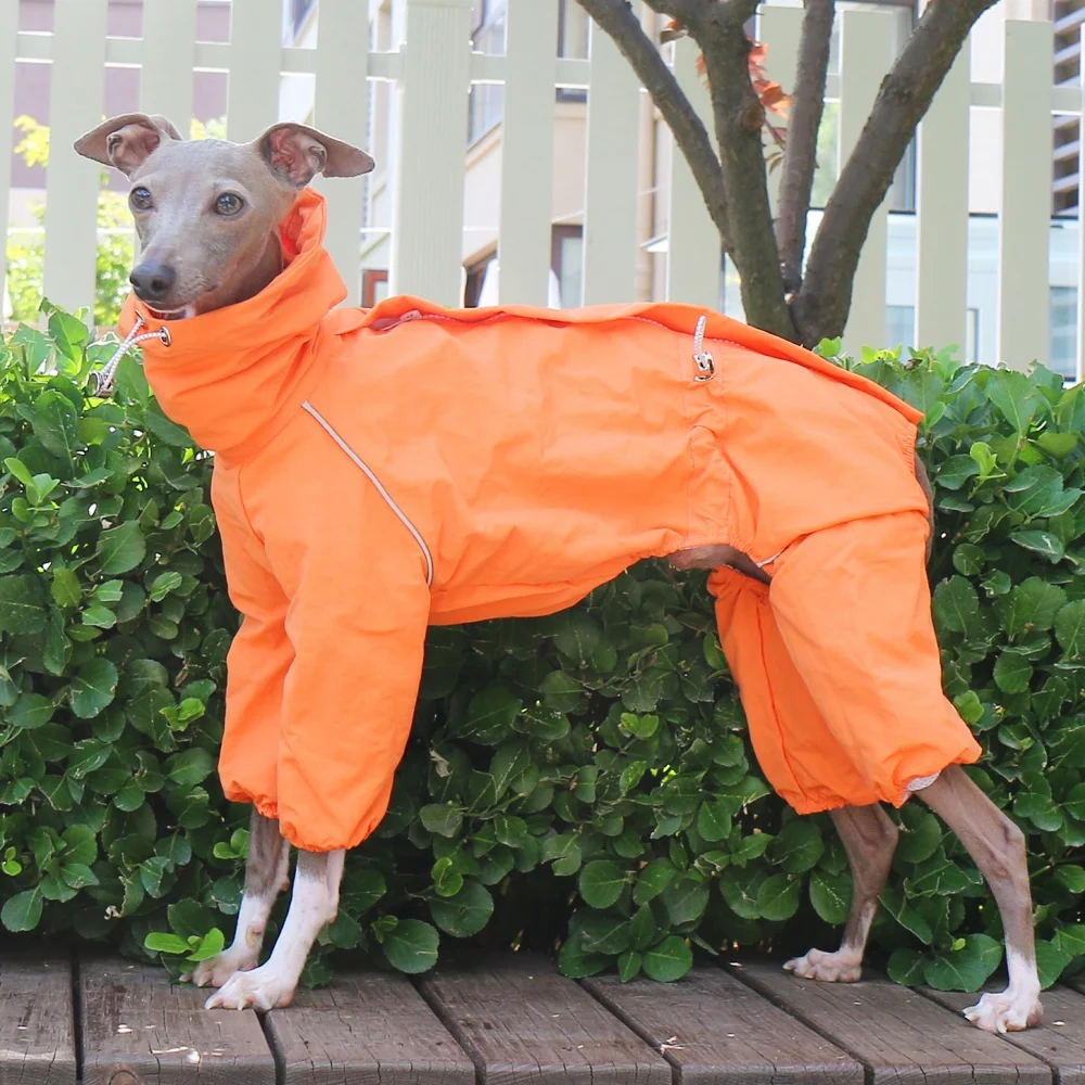 Chaqueta naranja de cuello alto ajustable a prueba de viento de verano para galgo italiano, impermeable de primavera con cremallera en la espalda para Whippet