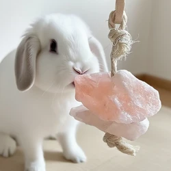 Piedra masticable natural para hámster y conejo - Decoración