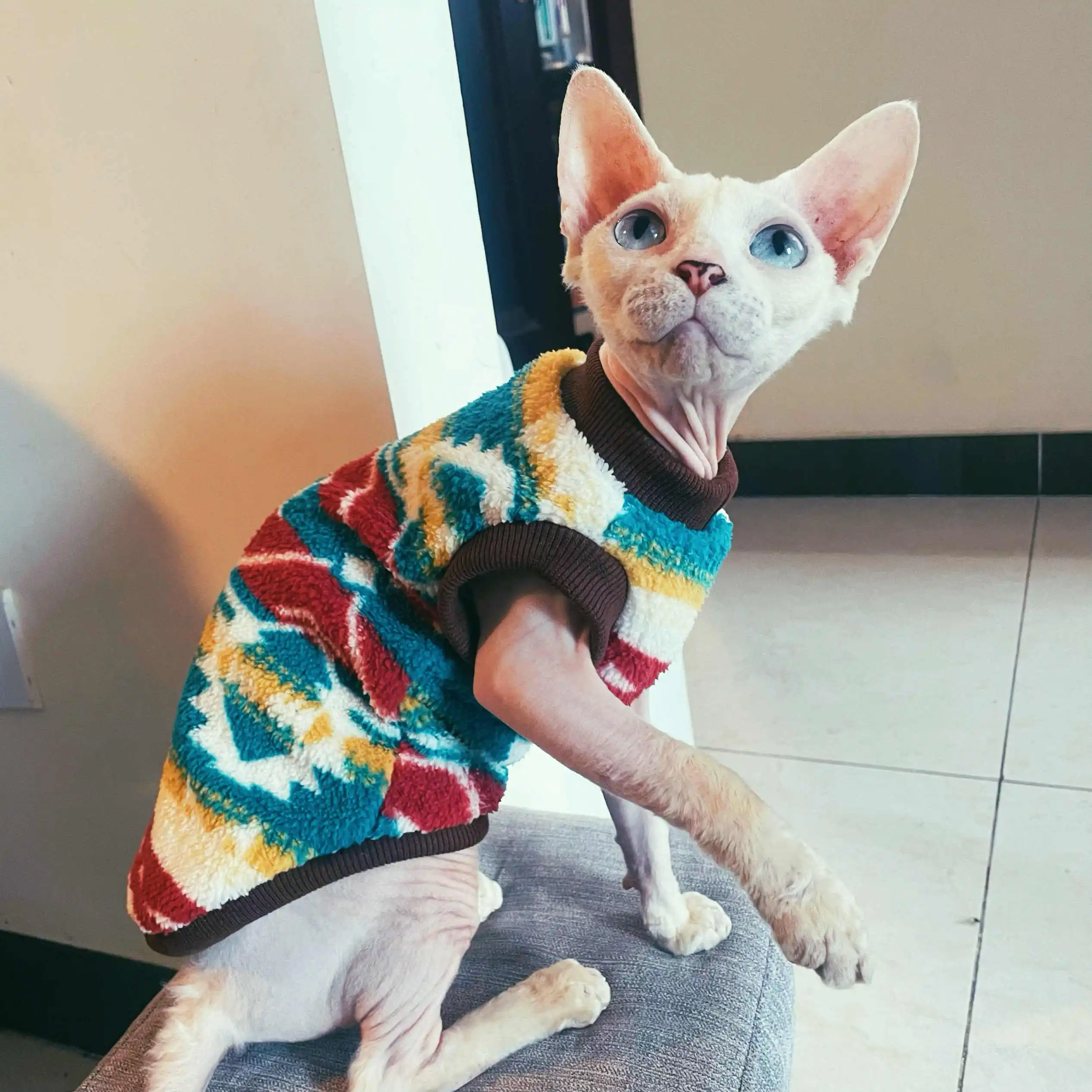 Chaleco cálido navideño para gatos Suéter de gato Gatito Polar cálido Mangas cortas Sudadera marrón Ropa de gato de patas cortas Abrigo verde para suministros de gato Devon Rex