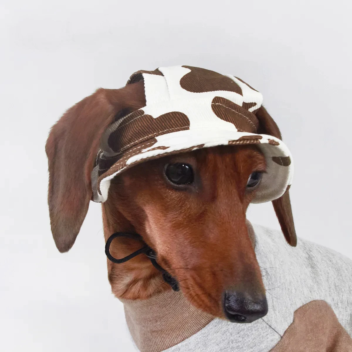 Gorra solar transpirable para perros pequeños y medianos con orejas