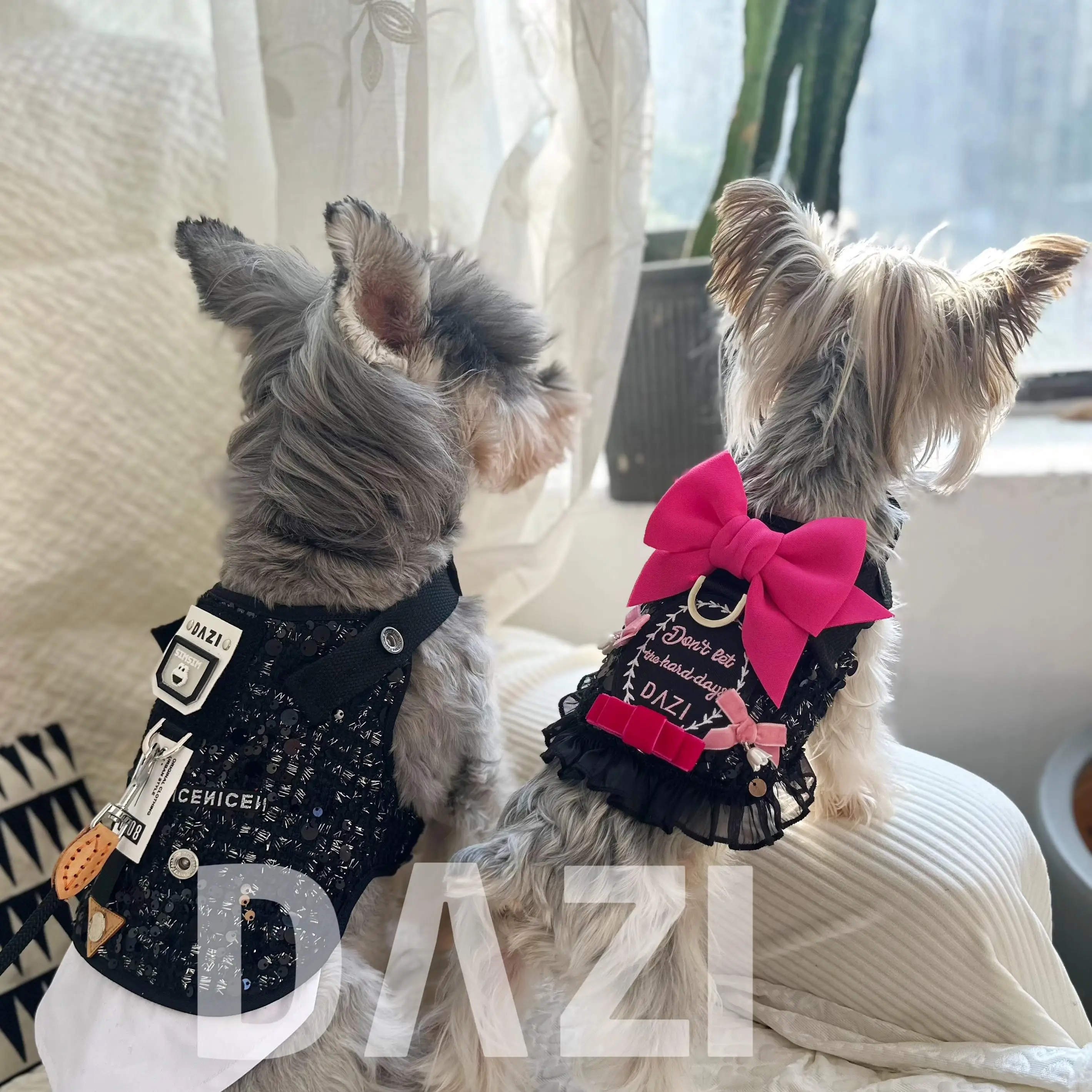 Conjunto de correa y arnés para perro de lujo, vestido de princesa negro con lazo, correa para el pecho de encaje, cuerda de plomo para caminar para cachorros para Schnauzer maltés - imagen 2