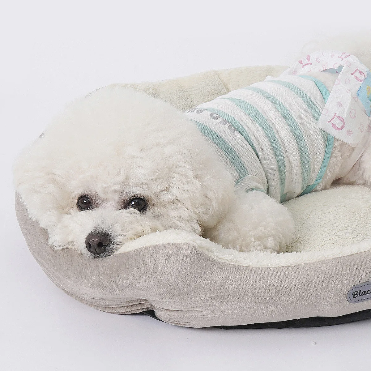 Cama acolchada para perro – Transpirable, duradera y antimordida - imagen 5
