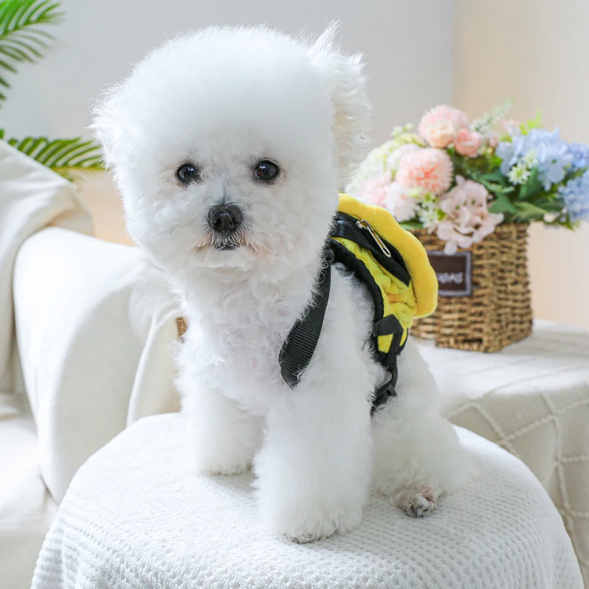 Mochila para mascotas, bonita mochila que se puede tirar para caminar, bolsa de basura para perros, accesorios para mascotas para perros pequeños, accesorios para cachorros