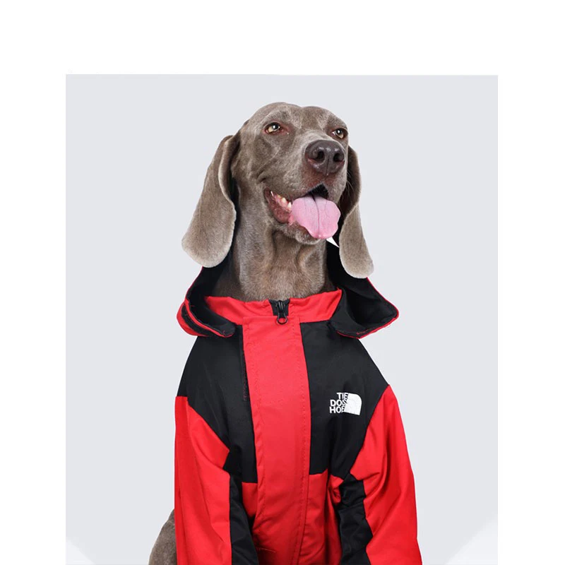 Ropa de moda para perros, chaqueta impermeable para intercambio de perros para Golden Retriever Labrador Media, perros grandes en invierno y primavera - imagen 2