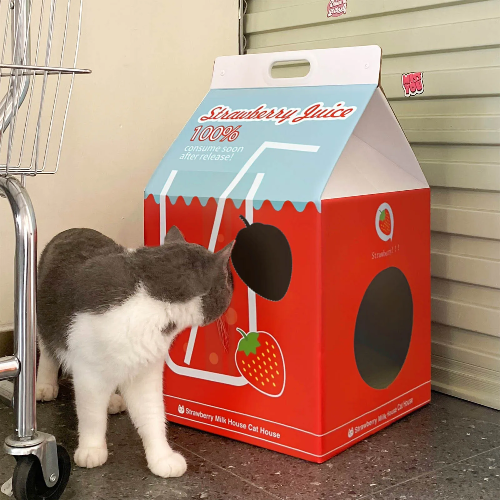 Casa para gatos de cartón corrugado fresa y caja leche – Rascador cama