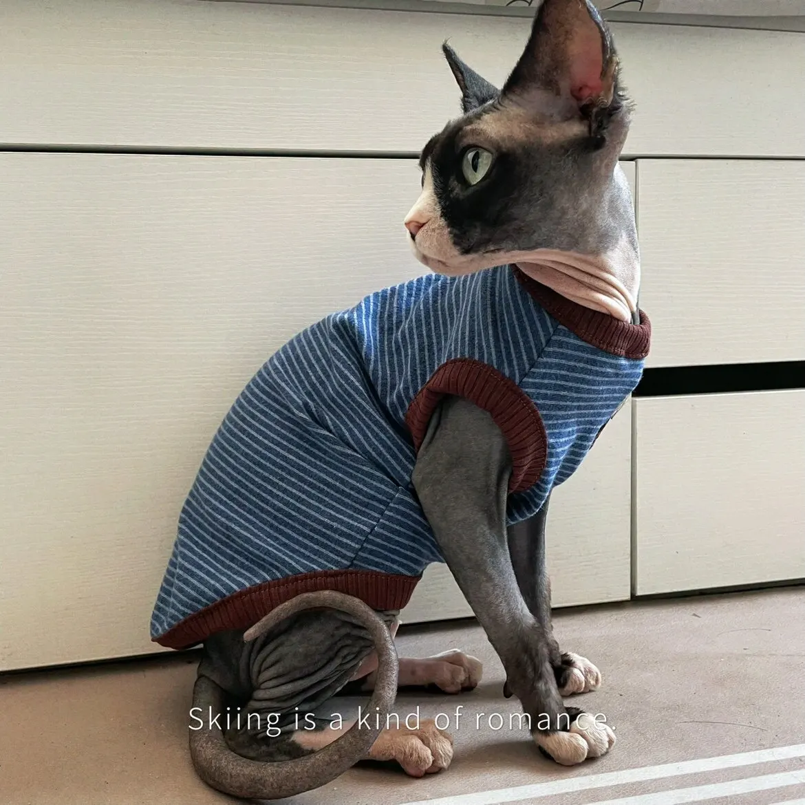 Camiseta chaleco sin mangas de algodón para Sphynx y Devon Rex