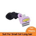 Cat S-long hair