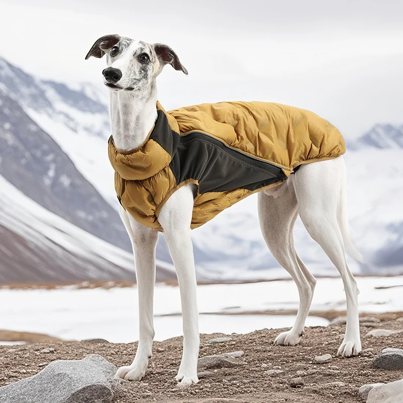 Chaqueta de plumón de pato blanco para perro, chaleco ligero y cálido de invierno para perros, abrigo elástico y cómodo, ropa impermeable para perros al aire libre - imagen 5