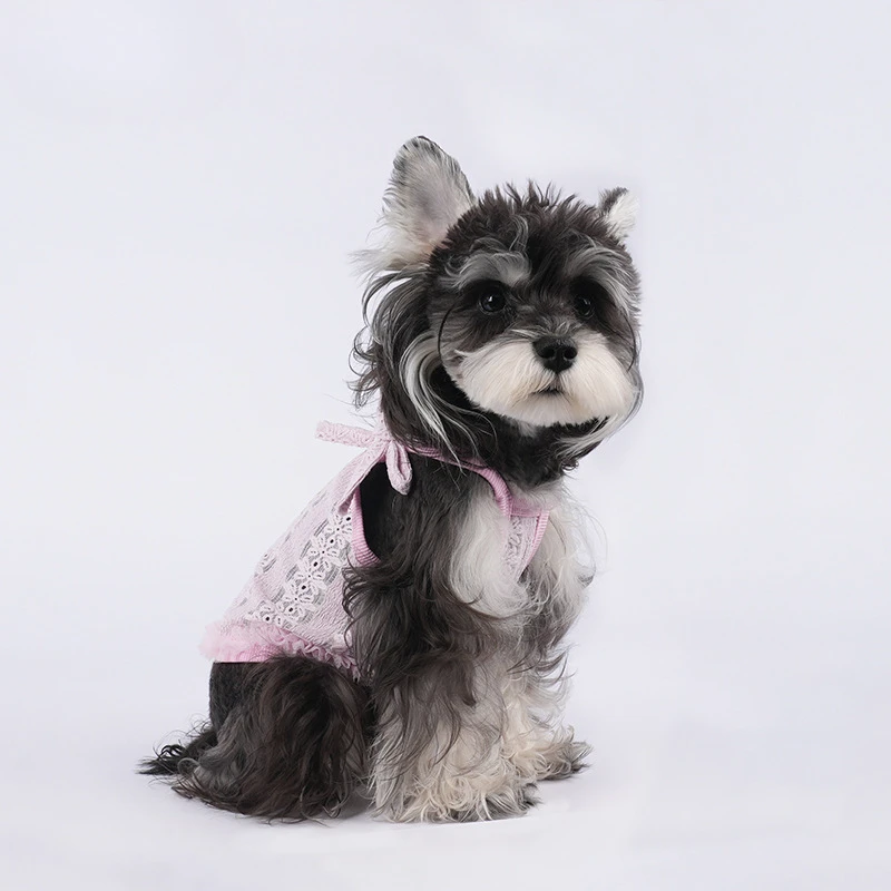 Camisola de encaje fresco para mascotas, chaleco Schnauzer Yorkshire, traje transpirable para caminar para perros dulces, ropa para cachorros, chaleco refrescante para perros