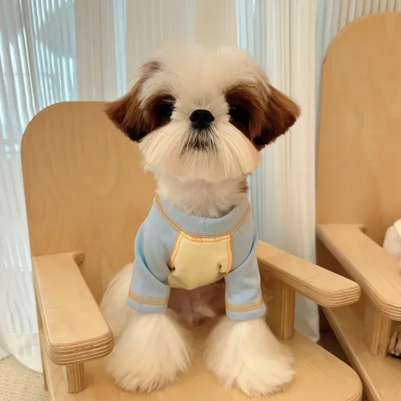 Abrigo Base bonito para perro, camiseta de otoño/invierno para mascota, suéter de felpa maltés Schnauzer, disfraz para perro, ropa para cachorro, ropa de diseñador para perro - imagen 5