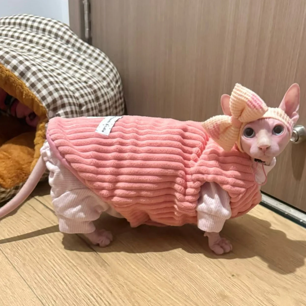 Chaleco cálido rosa de invierno para gatos, Chaqueta de algodón de lana gruesa para gato sin pelo en otoño, abrigo grueso y dulce para gato Sphynx