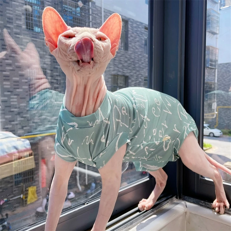 Chaleco de tela fresca de 4 patas para Sphyinx Cat Summer Beige Verde Camiseta para gatitos machos Perros Abrigo suave para Devon Rex Cat Prodcut