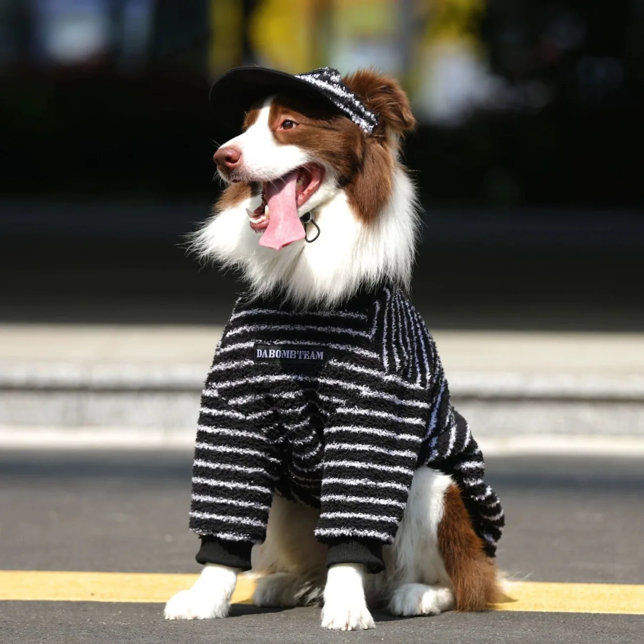 Suéter polar con capucha para perros grandes – Abrigo de invierno