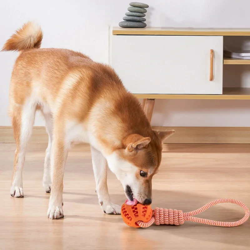 Juguetes de bolas de comida con fugas para perros con cuerda de algodón, juguete interactivo para interiores para mascotas, suministros de juego de molienda de dientes resistentes al masticable de goma para cachorros - imagen 2