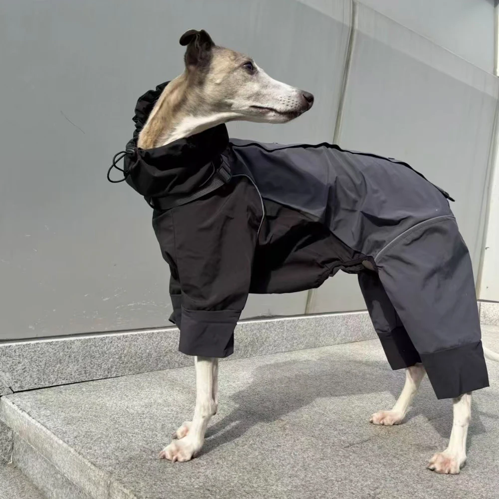 Chaqueta impermeable para perros Whippet con franjas reflectantes - imagen 5