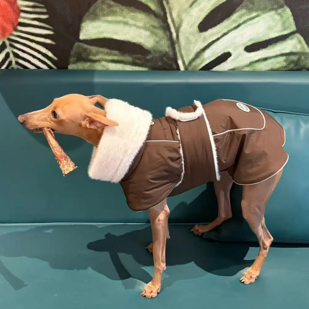 Capa con cuello de piel de invierno para perros Whippet de medios pequeños, elegante cinturilla ajustable, abrigo grueso y cálido para galgos italianos - imagen 3