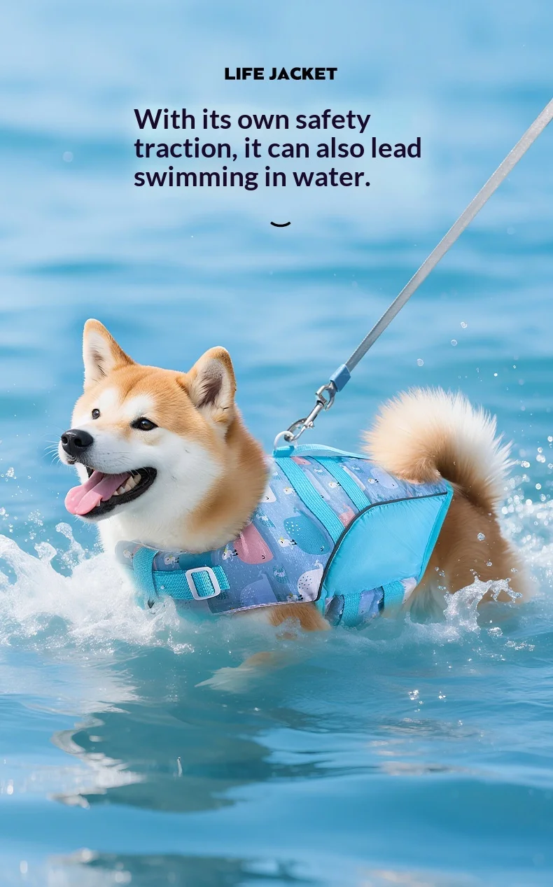 Perro jugando en el agua