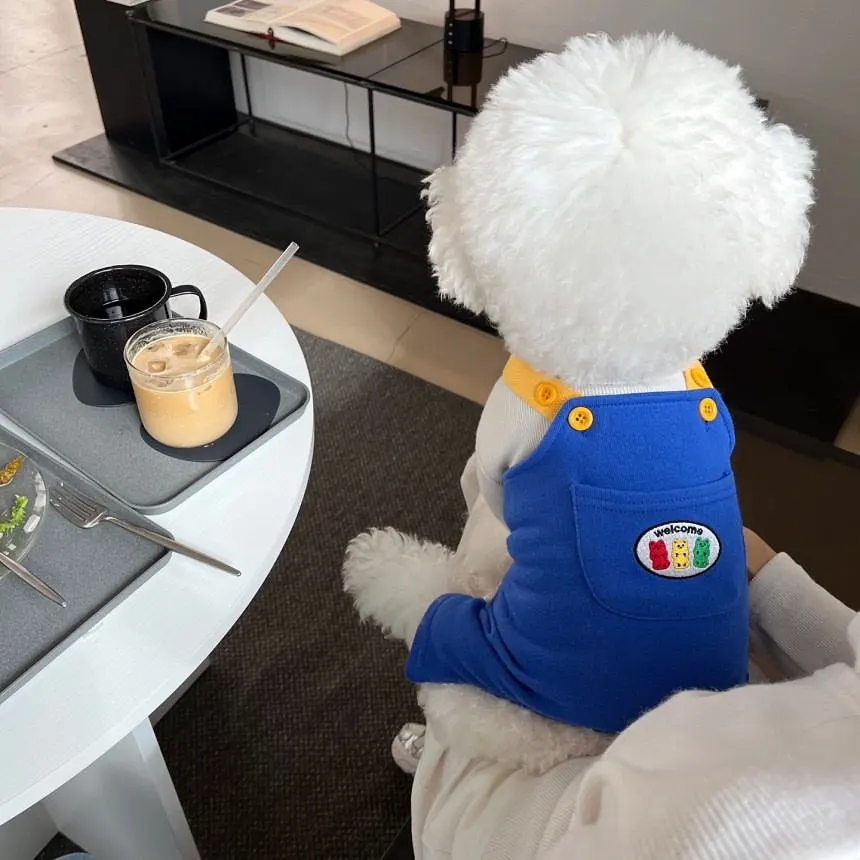 Pantalones con tirantes para perros y gatos estilo Ins, ropa de otoño para perros, pantalones de cuatro patas, ropa para mascotas, osos de Pomerania Yorkshire - imagen 2