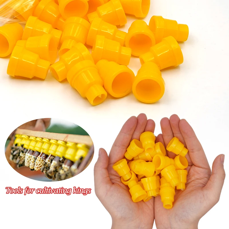 Kit de cría de abejas y reina, Jenter completo, herramientas de apicultura para caja de apicultura, soporte de jaula, tazas de células de plástico, sistema de cría de abejas, 1 Juego - imagen 4