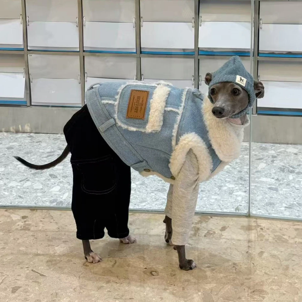 Chaqueta vaquera para Galgo italiano y Whippet – Abrigo invernal - imagen 4