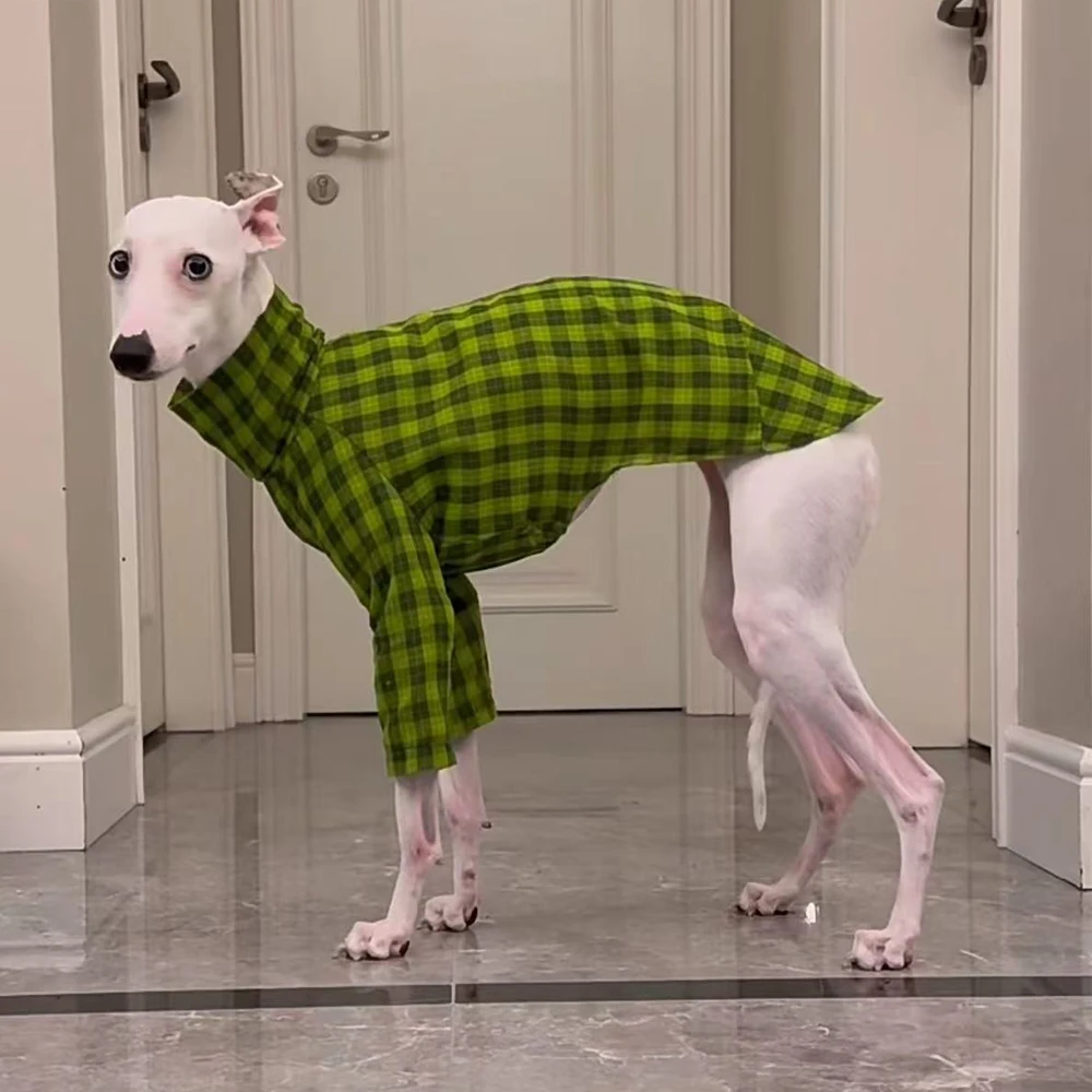 Conjunto vaquero para perros – Camiseta verde sin mangas + jean - imagen 3