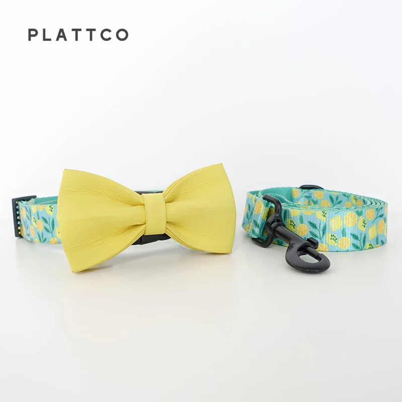 Bow Tie Collar Leash