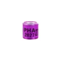 2027 purple