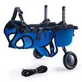 two-wheel blue