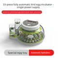 33 bird Eggs single