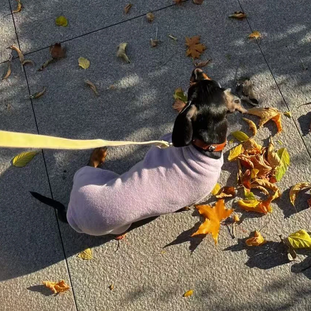 Suéter cálido de manga larga de 4 patas para perro salchicha en miniatura, abrigo de lana gruesa de invierno para perros Wiener, pijamas dulces para perro femenino - imagen 3
