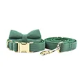 Bow Collar Leash Set