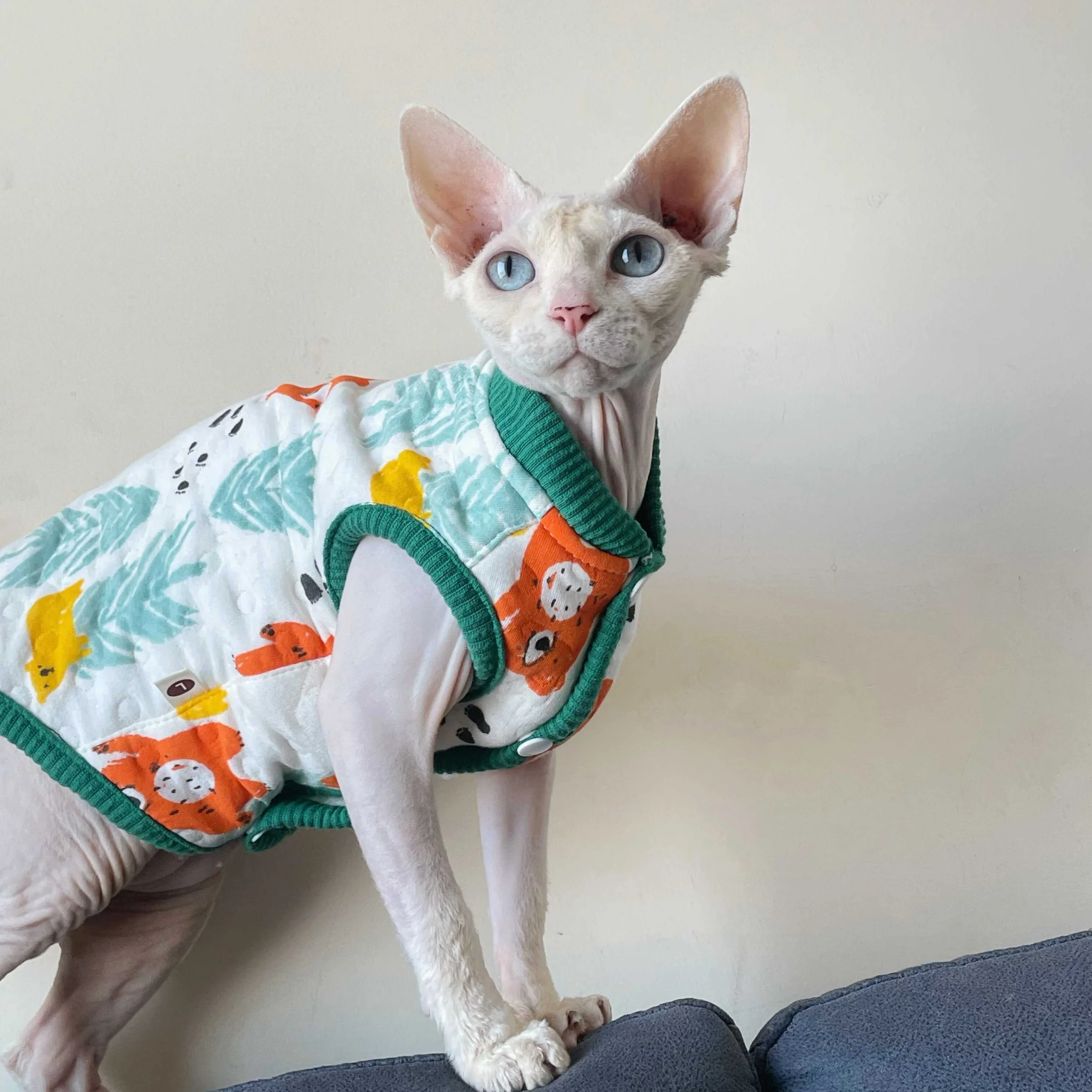 Chaleco de algodón suave para gatos Sphynx - abrigo de otoño
