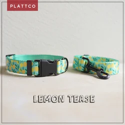 Collar ajustable de nylon suave para perro – Set con correa