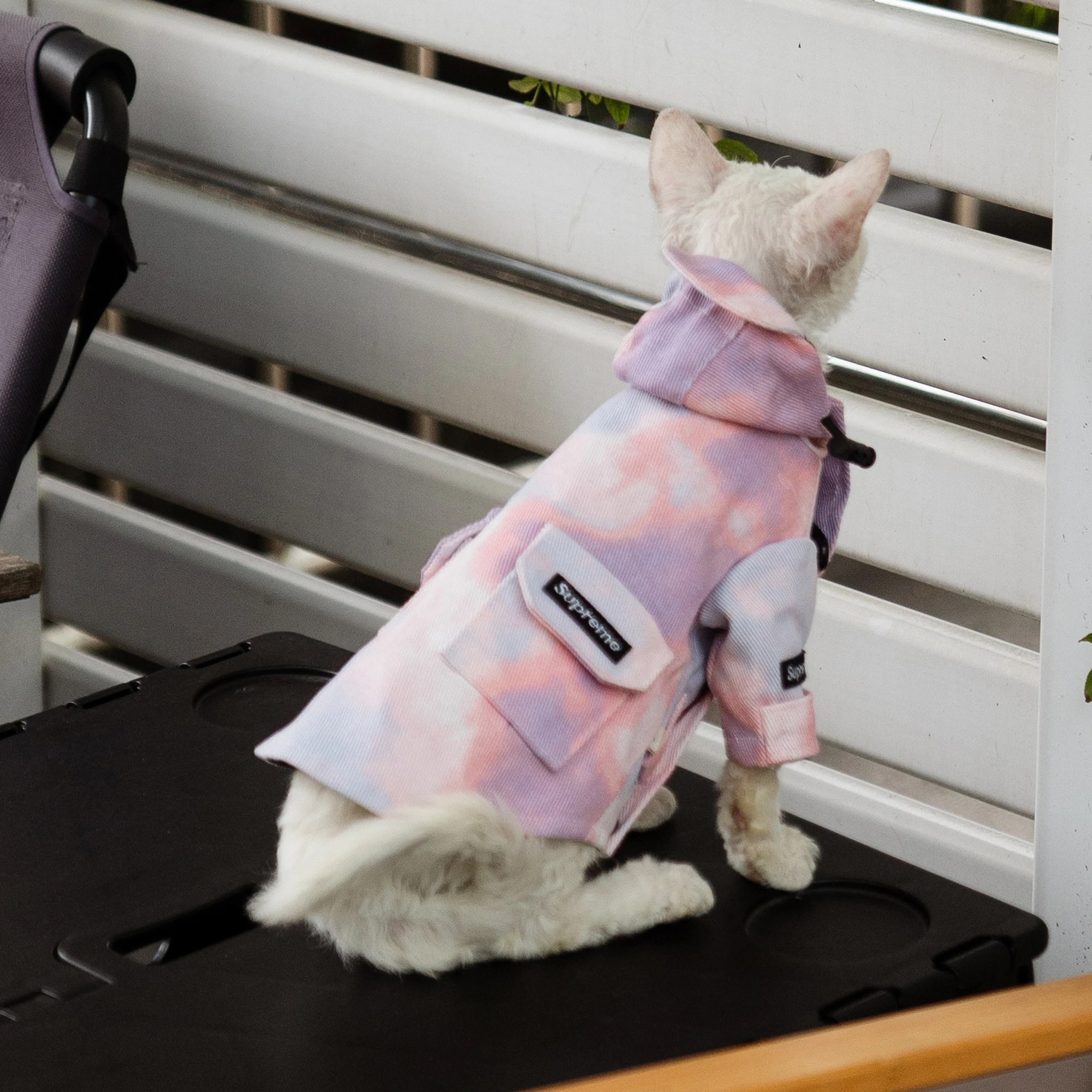 Chaqueta de lujo para exteriores para gatos, ropa impermeable a la moda para gatos Sphynx, abrigo grueso con capucha a prueba de viento para suministros para gatos Devon Rex - imagen 2