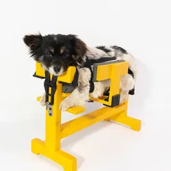 Mesa de acupuntura y moxibustión para mascotas – Fijador profesional