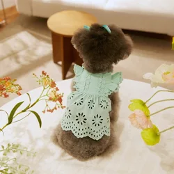 Vestido de primavera para perros pequeños con mangas voladoras