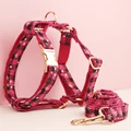 Harness   leash